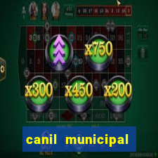 canil municipal porto alegre